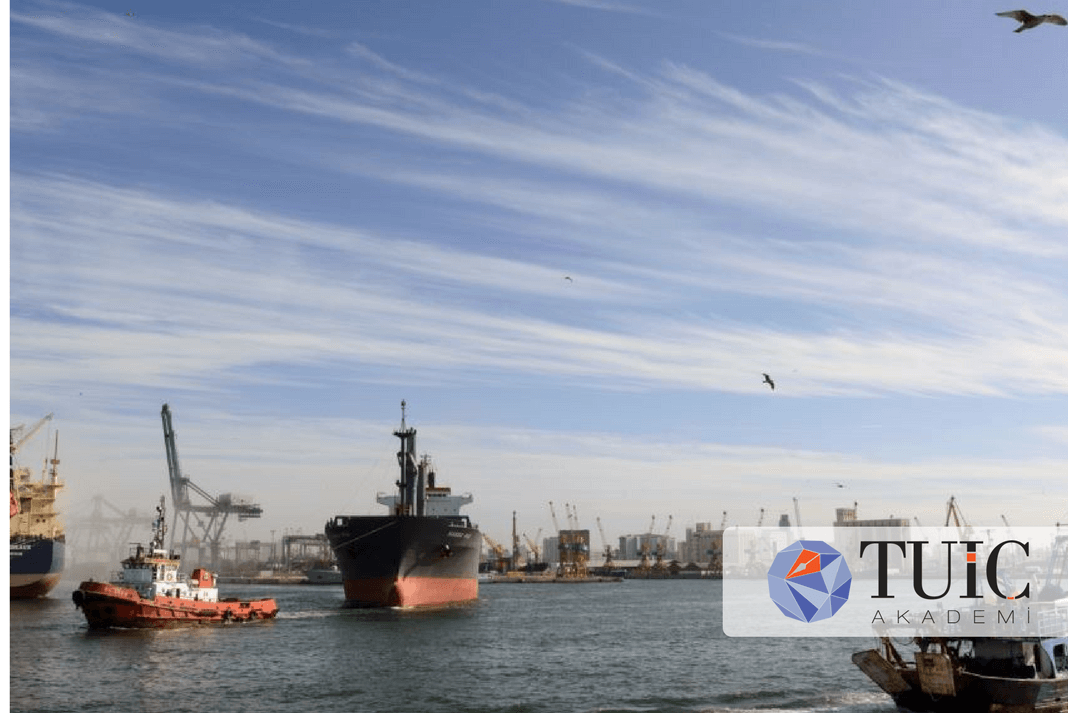 Batı Sahra: AB-Fas Balıkçılık Anlaşması, AB Adalet Divanı Önünde “Geçersizdir” Açıklaması