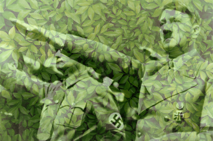Ecofascism Becoming Mainstream? A Short Evaluation of The Past, Present and Future of Far-Right Ecology in Europe