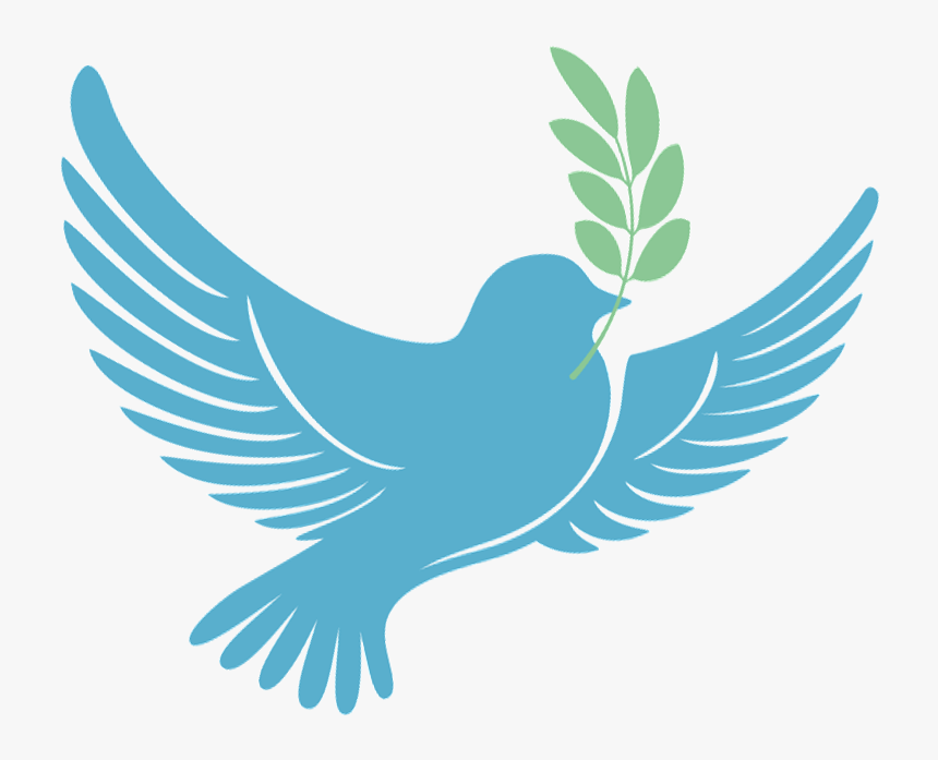 Hani Nerede Barış?