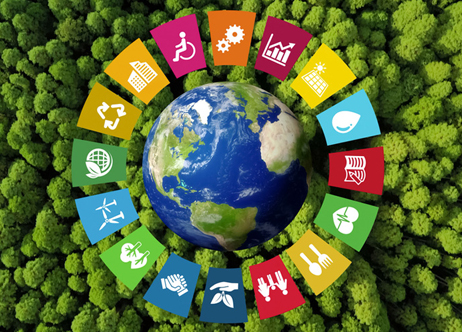 Sürdürülebilir Kalkınma Amaçları: Habitat Derneği Üzerine Bir Değerlendirme