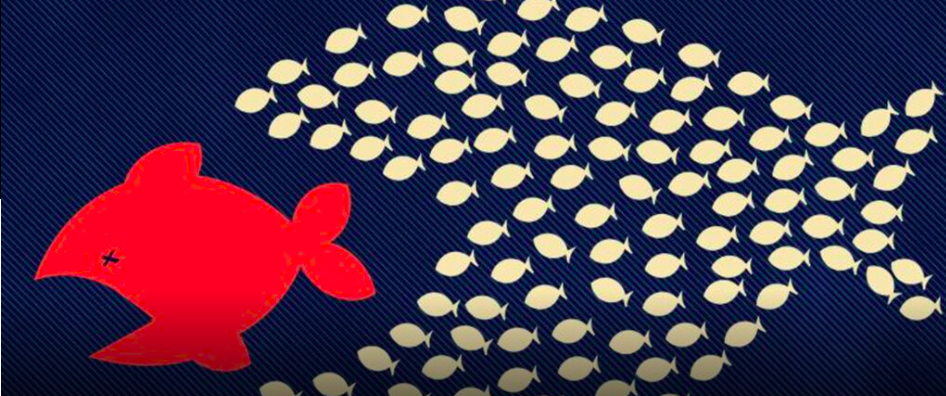 Çeviri Röportaj: Kapitalizmin Üstesinden Nasıl Geliriz?