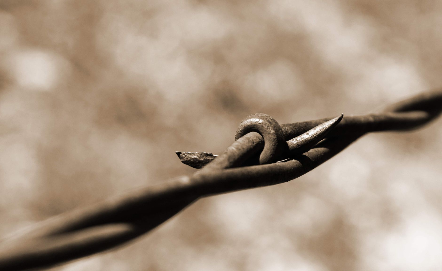 steel wire with sharp edges